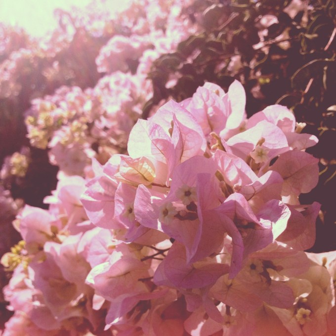 20120909-122259.jpg